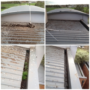 Cleaning gutters across Melbourne