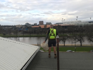 Roof SIde Cleaners